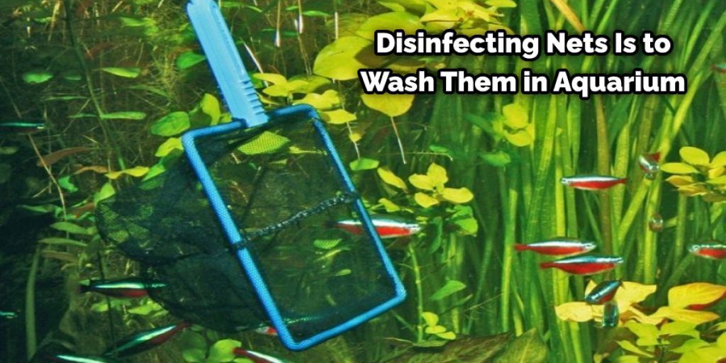 Disinfecting Nets Is to Wash Them in Aquarium