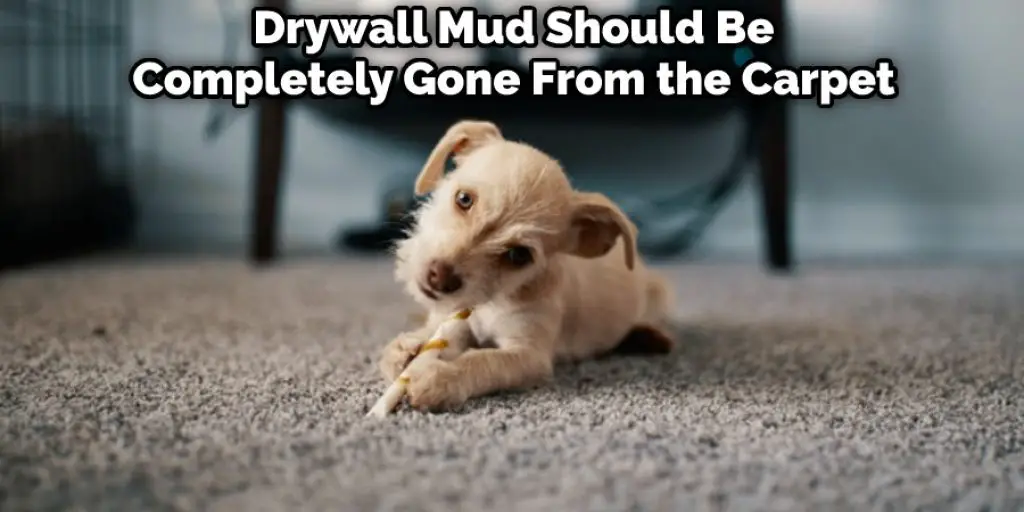  Drywall  Mud  Should  Be Completely Gone  From  the  Carpet