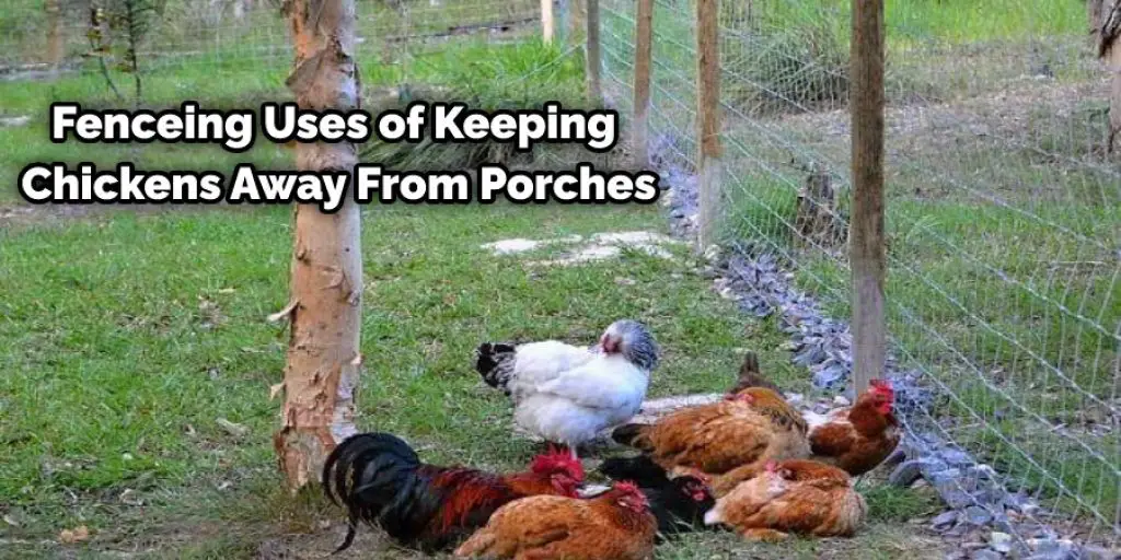 Fenceing Uses of Keeping Chickens Away From Porches