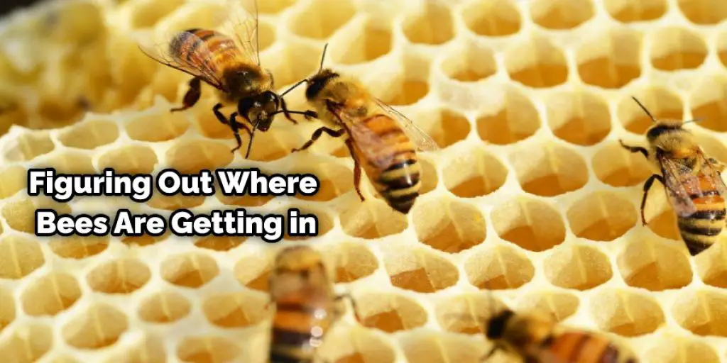 Figuring Out Where Bees Are Getting in