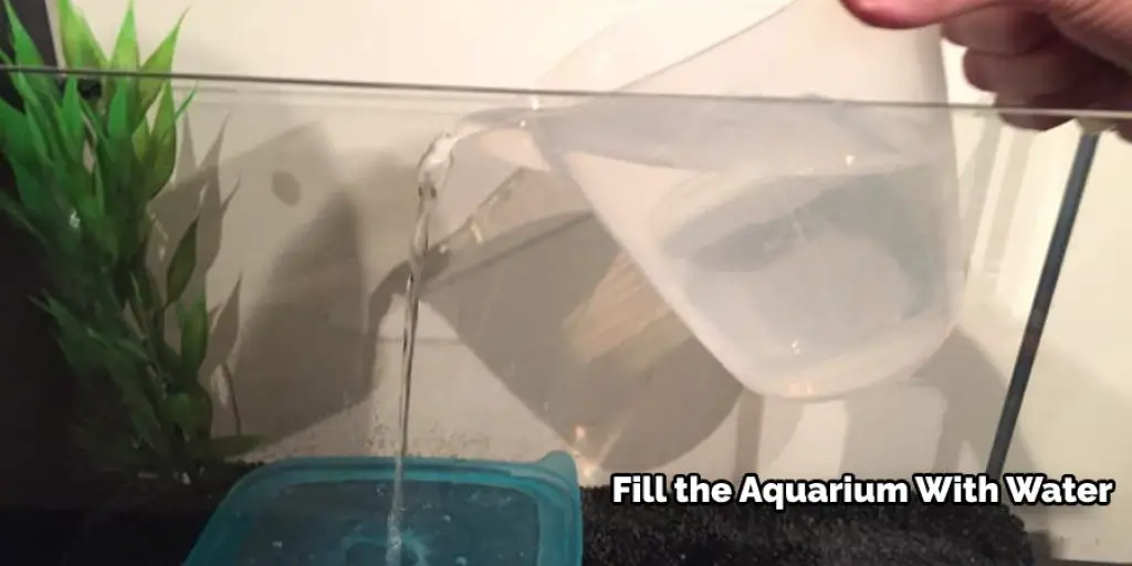 Fill the Aquarium With Water