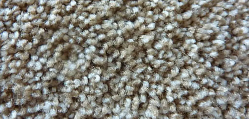 Frieze Carpet