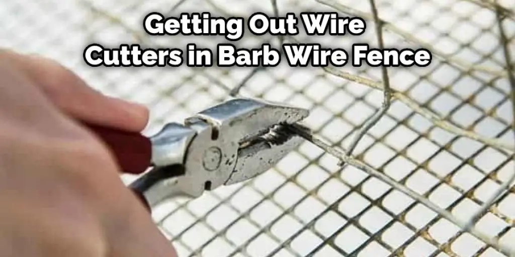 Getting Out Wire Cutters in Barb Wire Fence