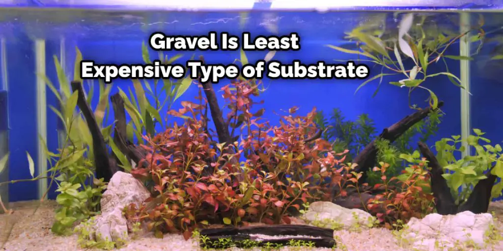 Gravel Is Least Expensive Type of Substrate