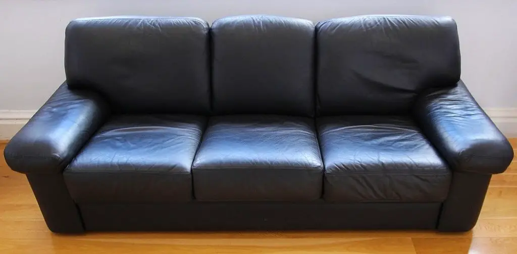 How to Get Bed Bugs Out of Leather Couch