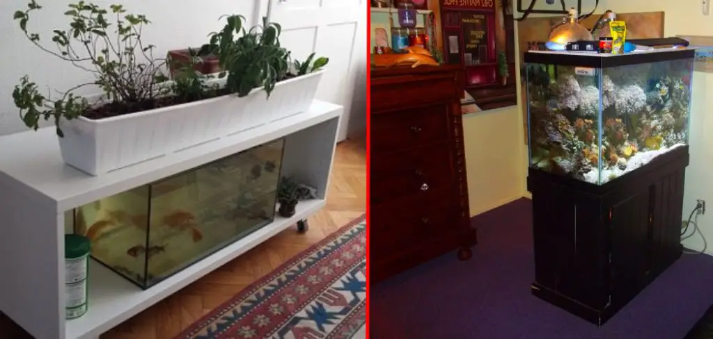 How to Level a Fish Tank on Carpet