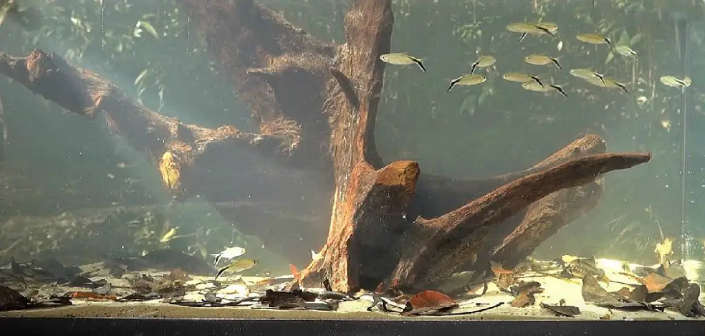 How to Prepare Large Driftwood for Aquarium