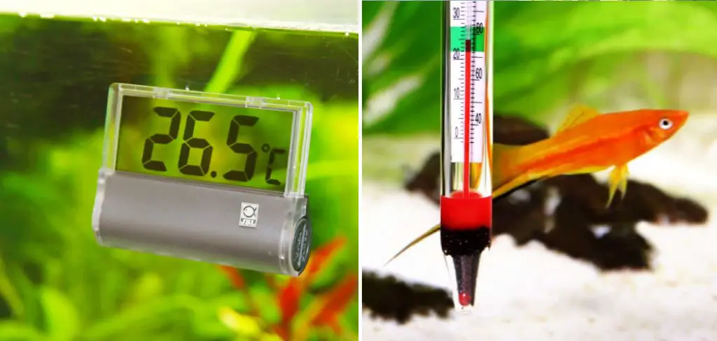 How to Read Aquarium Thermometer