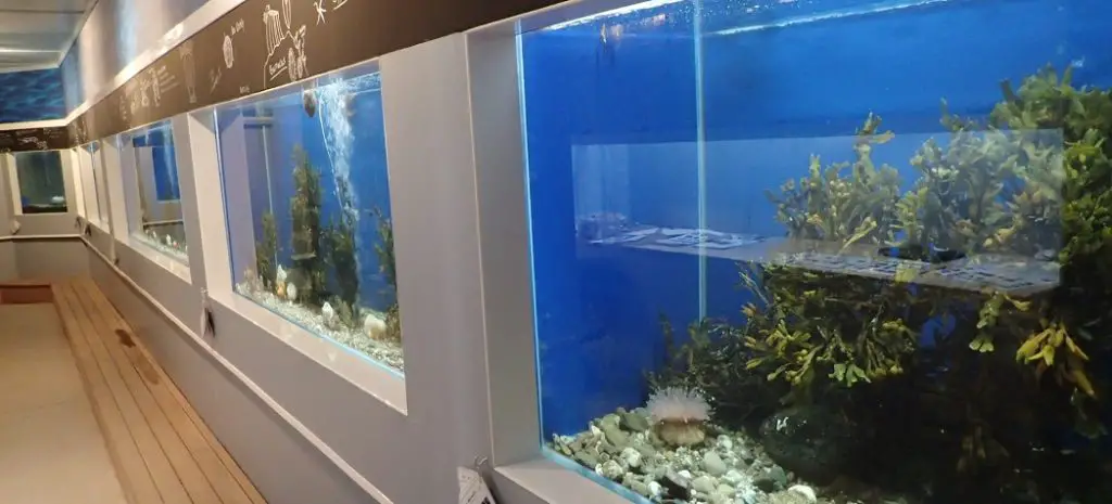 How to Tell if Aquarium Glass Is Tempered
