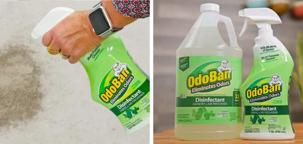 How to Use Odoban on Carpet