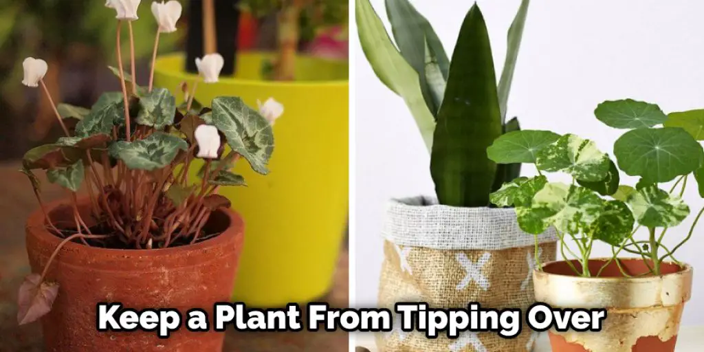 Keep a Plant From Tipping Over