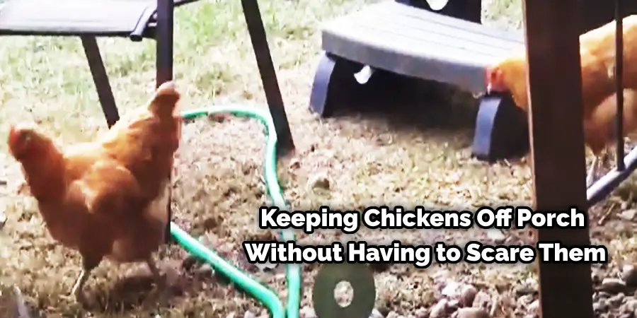 Keeping Chickens Off Porch Without Having to Scare Them