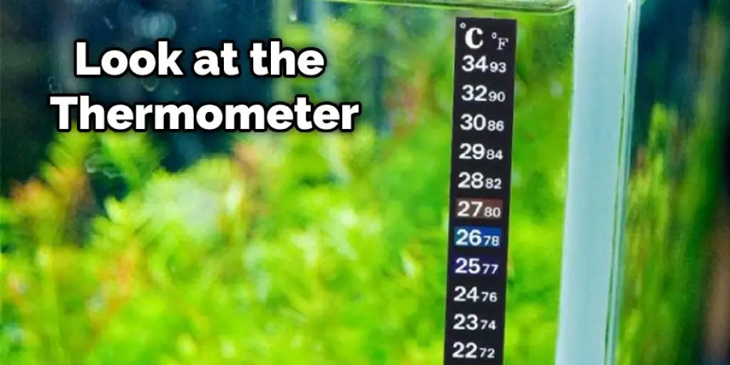 Look at the Thermometer