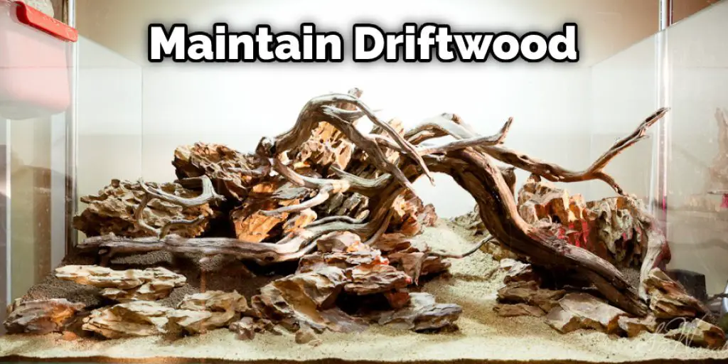 Maintain Driftwood