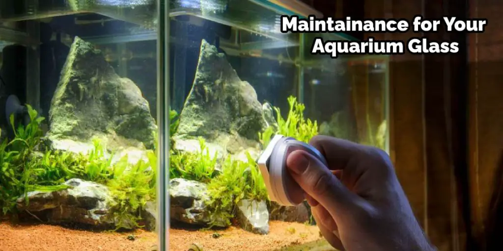Maintainance for Your Aquarium Glass