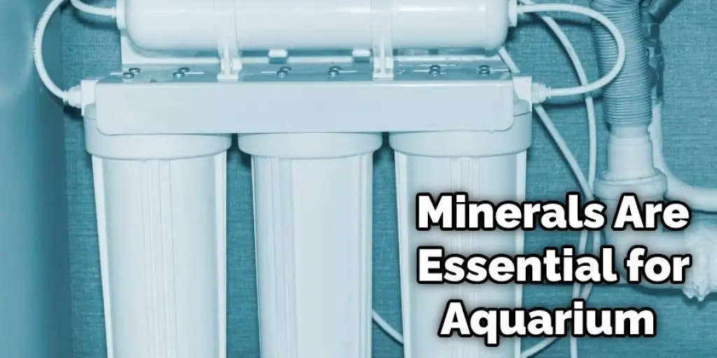 Minerals Are Essential for Aquarium 