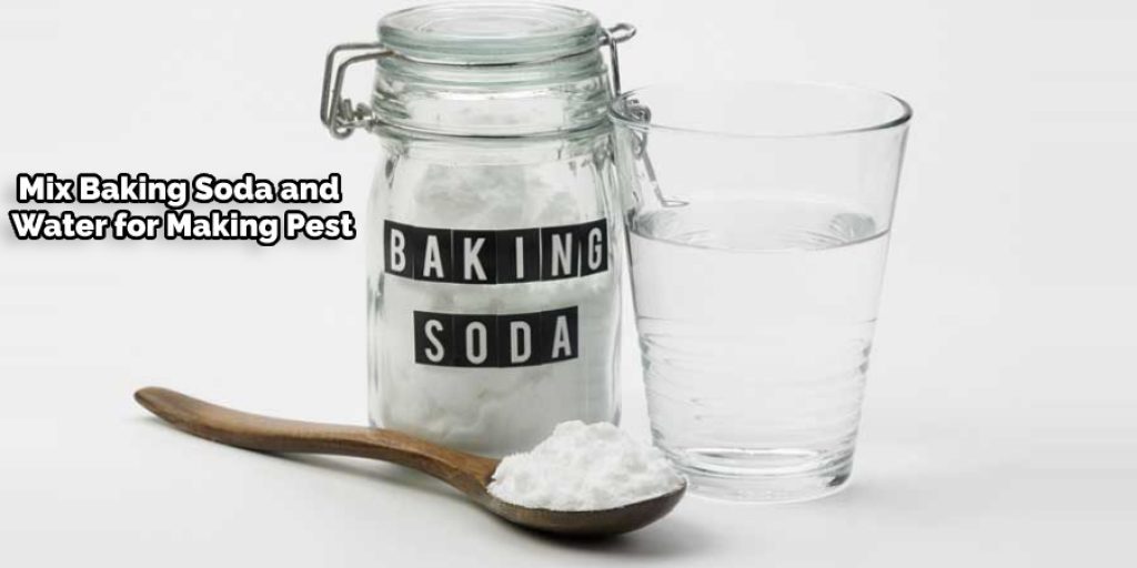 Mix Baking Soda and Water for Making Pest