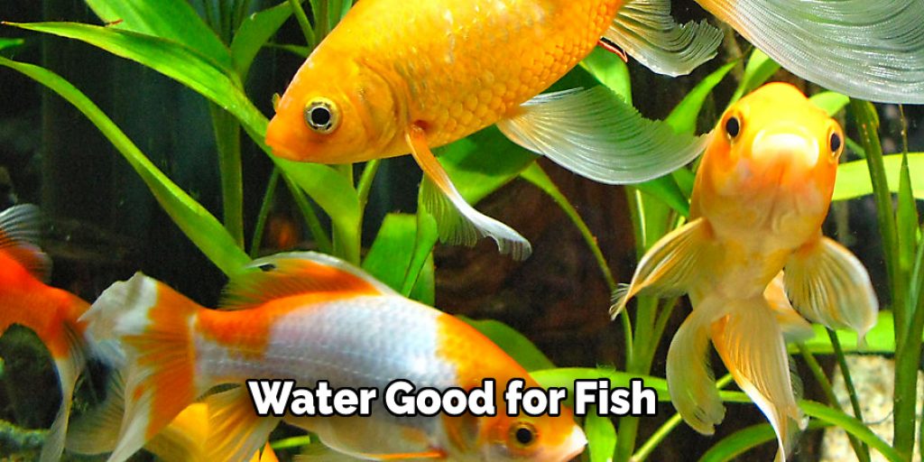 Water Good for Fish