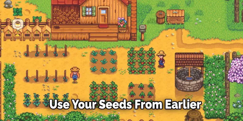 Use Your Seeds From Earlier 