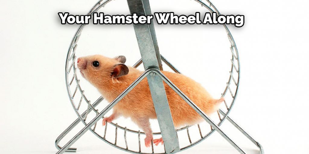 Your Hamster Wheel Along