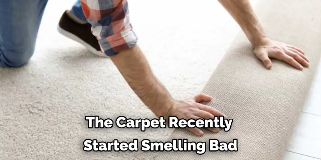 The Carpet Recently  Started Smelling Bad