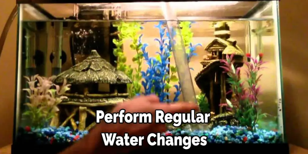 Perform Regular  Water Changes