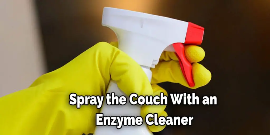 Spray the Couch With an Enzyme Cleaner