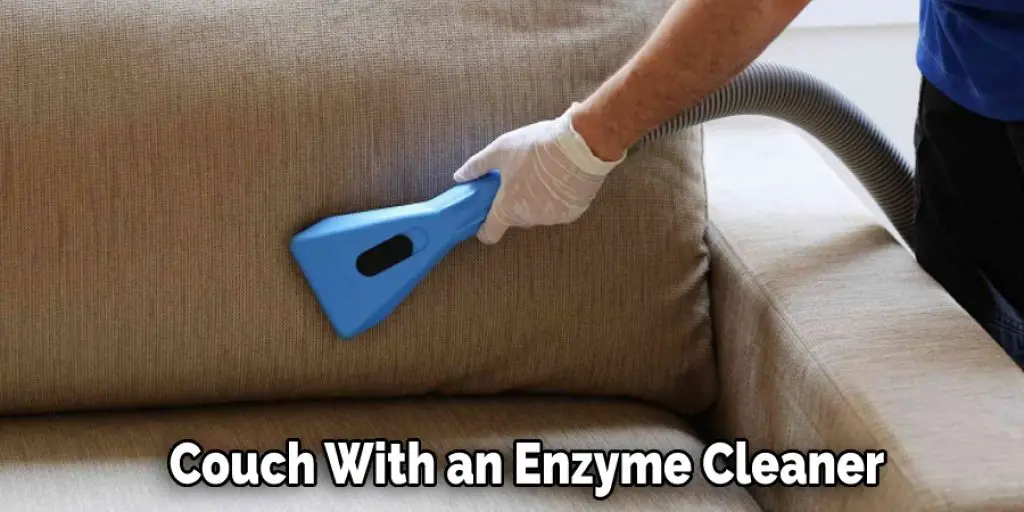 Couch With an Enzyme Cleaner