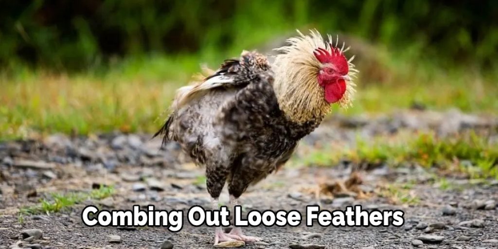 Combing Out Loose Feathers