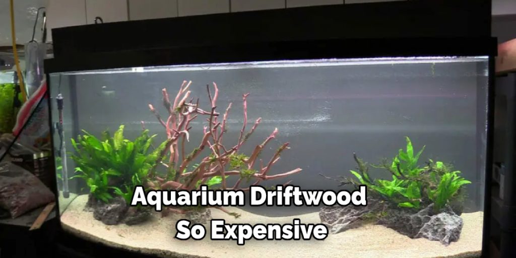 Aquarium Driftwood So Expensive