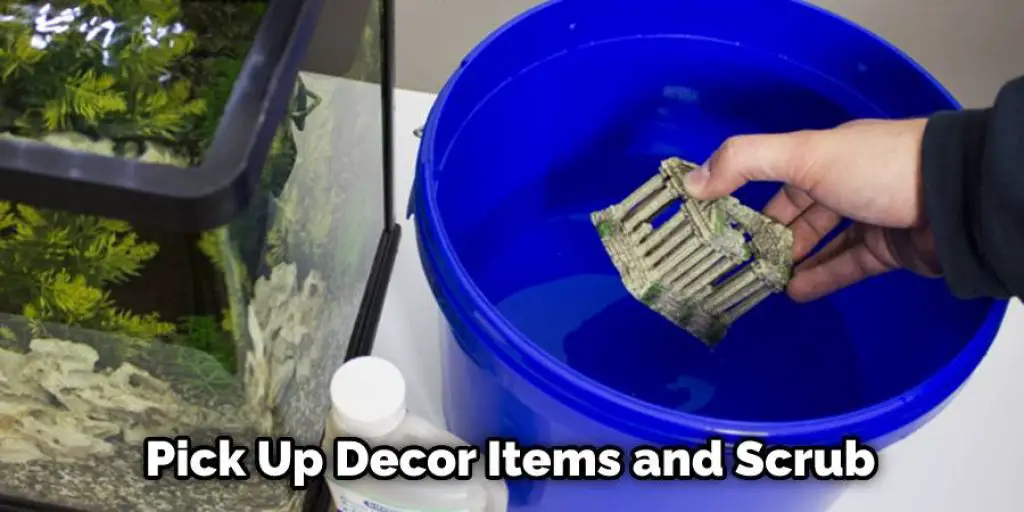 Pick Up Decor Items and Scrub 