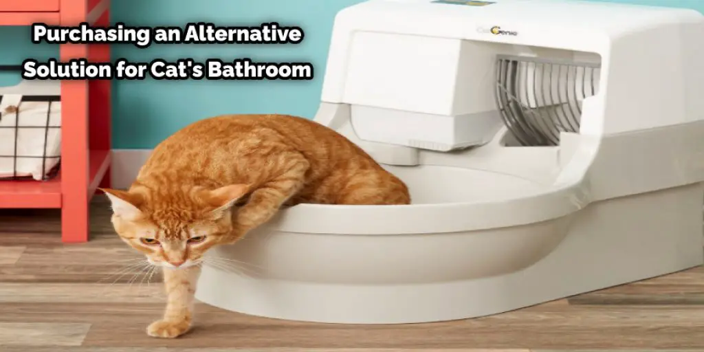 Purchasing an Alternative Solution for Cat's Bathroom