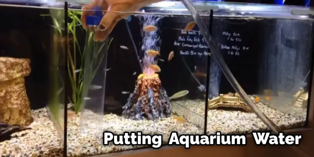Putting  Aquarium  Water