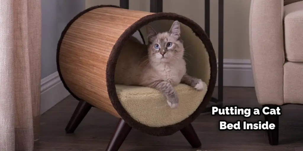 Putting a Cat Bed Inside