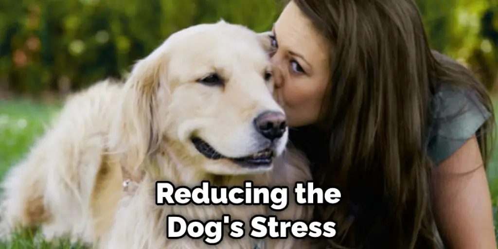 Reducing the Dog's Stress