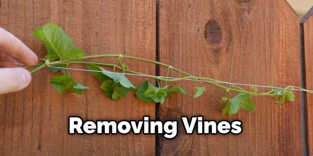 Removing Vines