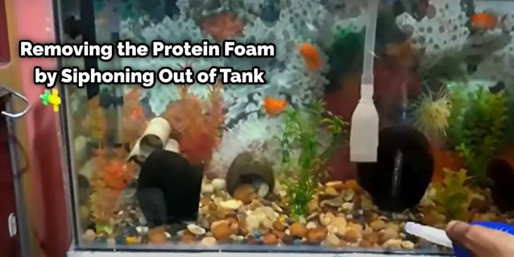 Removing the Protein Foam by Siphoning Out of Tank