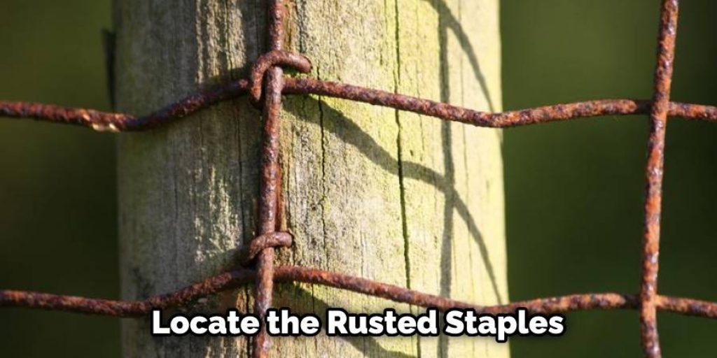 Rusted Staples
