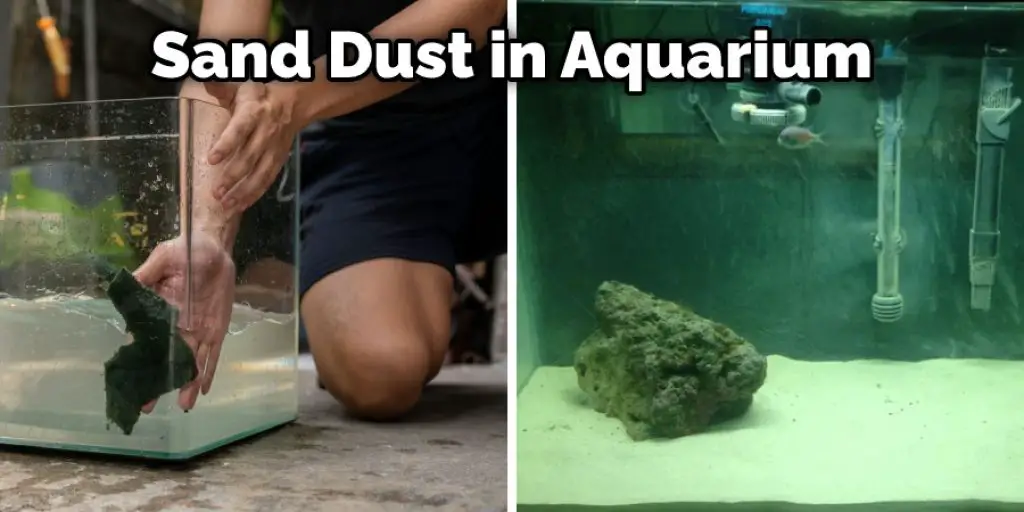 Sand Dust in Aquarium