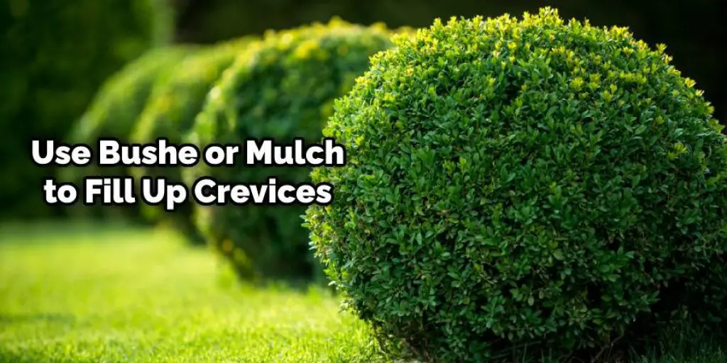 Secure the Border Using Bushes or Mulch
