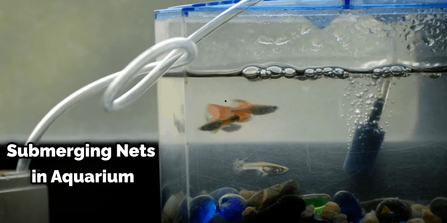 Submerging Nets in Aquarium