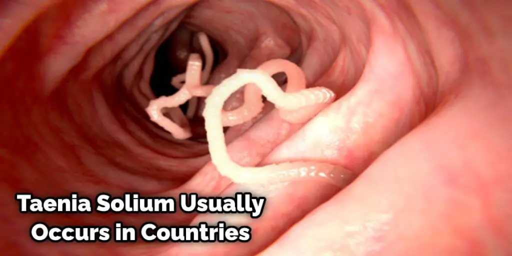Taenia Solium Usually Occurs in Countries