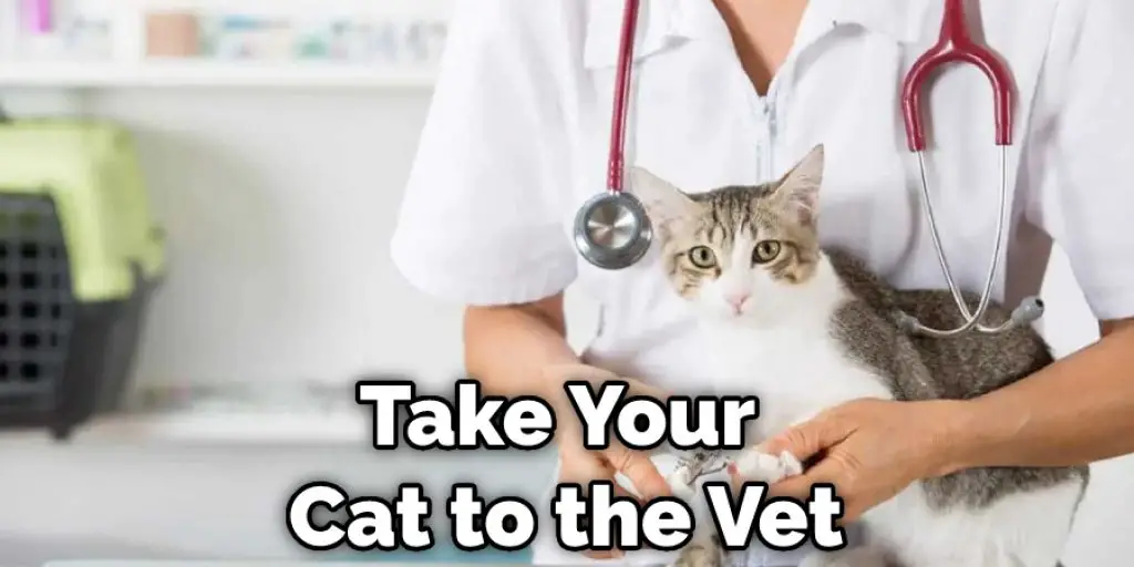 Take Your Cat to the Vet