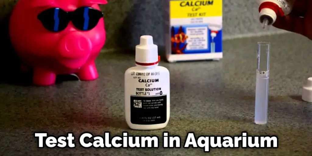 Test Calcium in Aquarium
