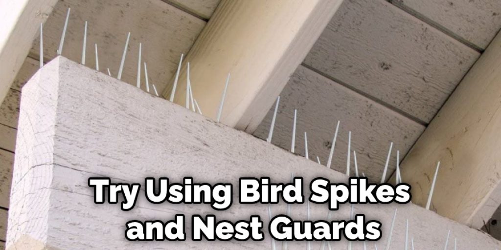 Try Using Bird Spikes and Nest Guards