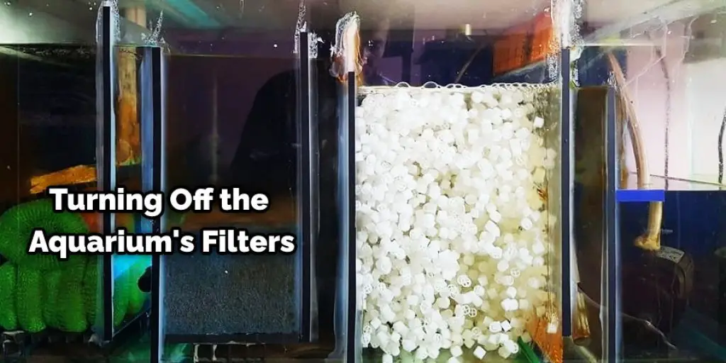 Turning Off the Aquarium's Filters