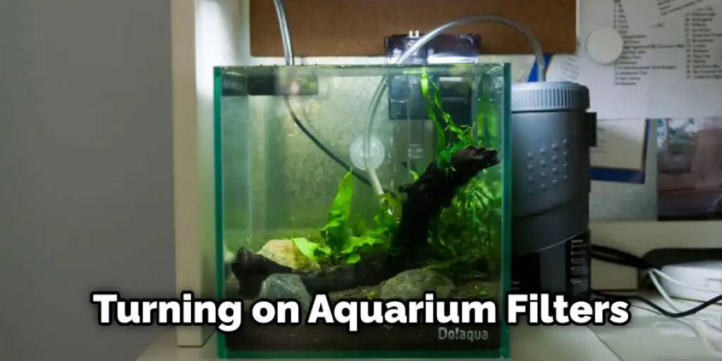 Turning on Aquarium Filters