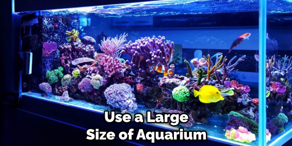 Use a Large Size of Aquarium