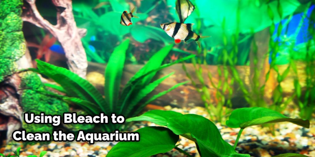 Using Bleach to Clean the Aquarium