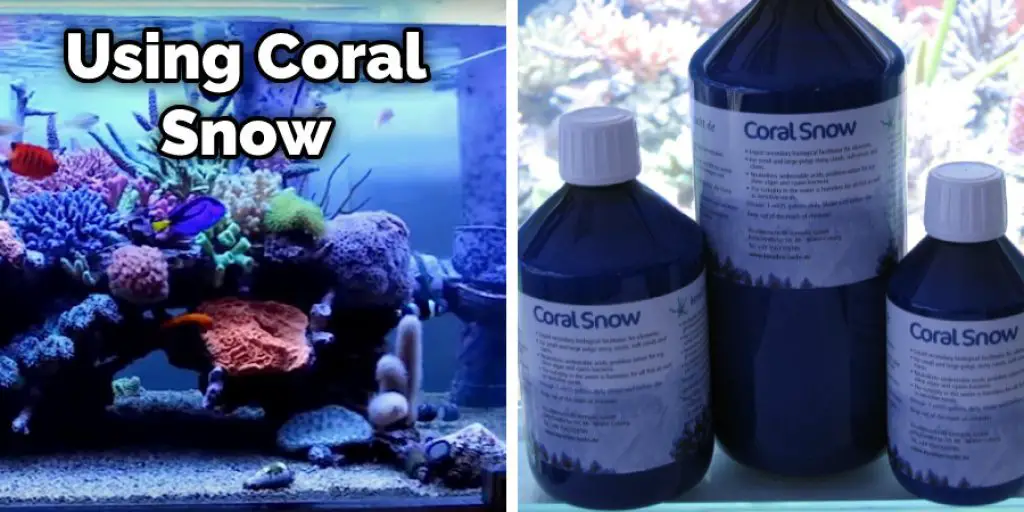 Using Coral Snow